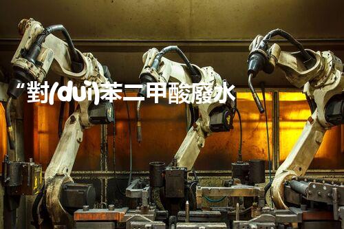 “對(duì)苯二甲酸廢水處理，綠色創(chuàng)新引領(lǐng)環(huán)保新篇章”